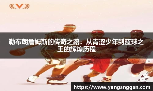 OB电竞官方网站